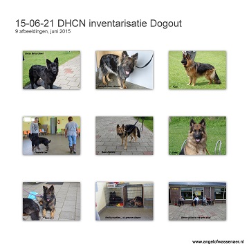 DHCN Inventarisatie  in Dogout